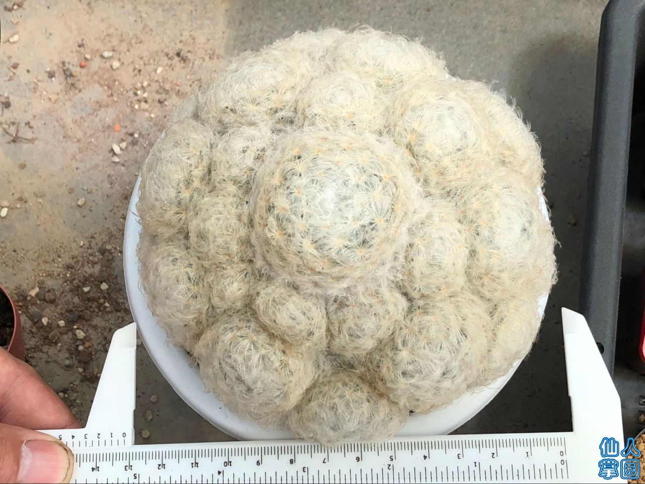 ʵǴȺ13-240