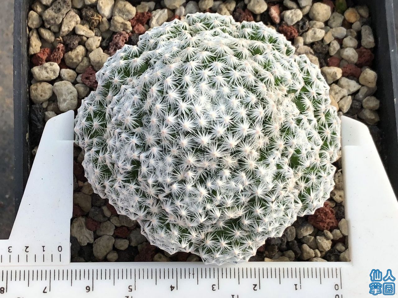Ըͷ6.7-200