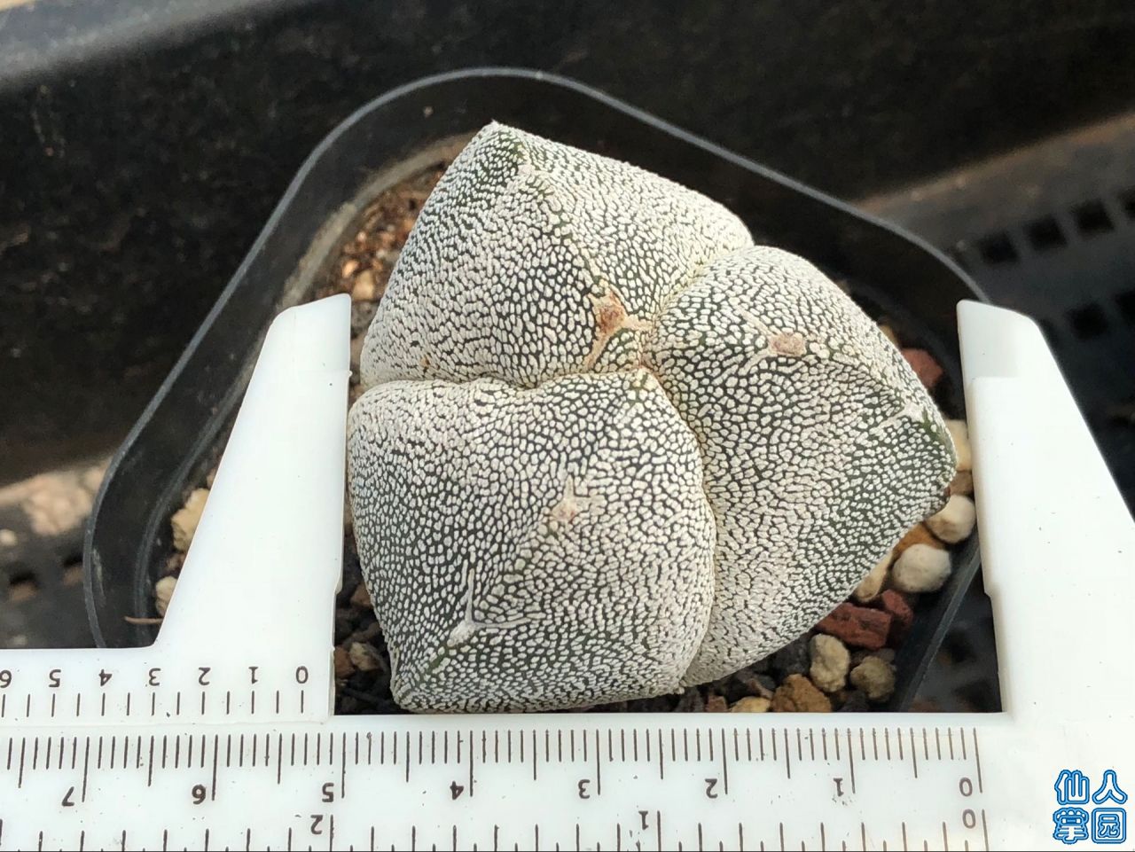 ʵڣ5.3-320