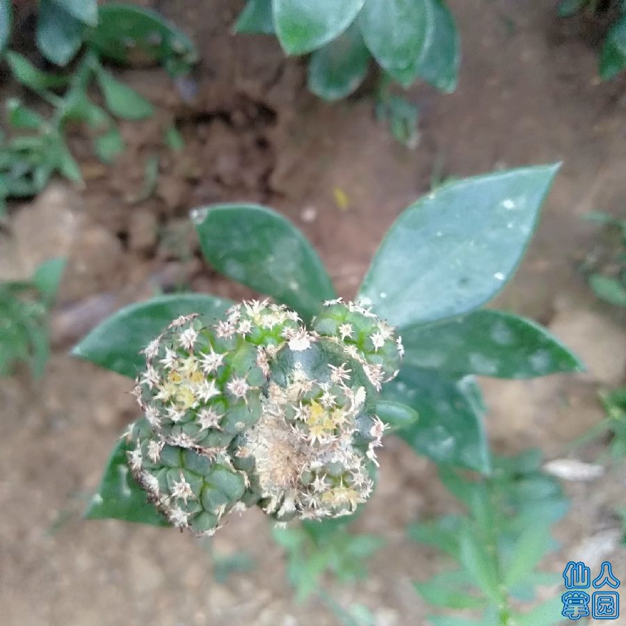 IMG_20180821_163948R.jpg