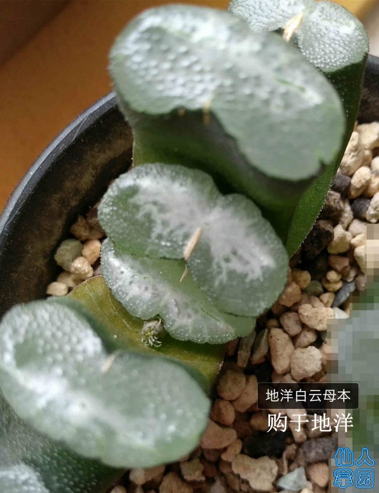 涂鸦_IMG_20180818_114337R_1_?.jpg