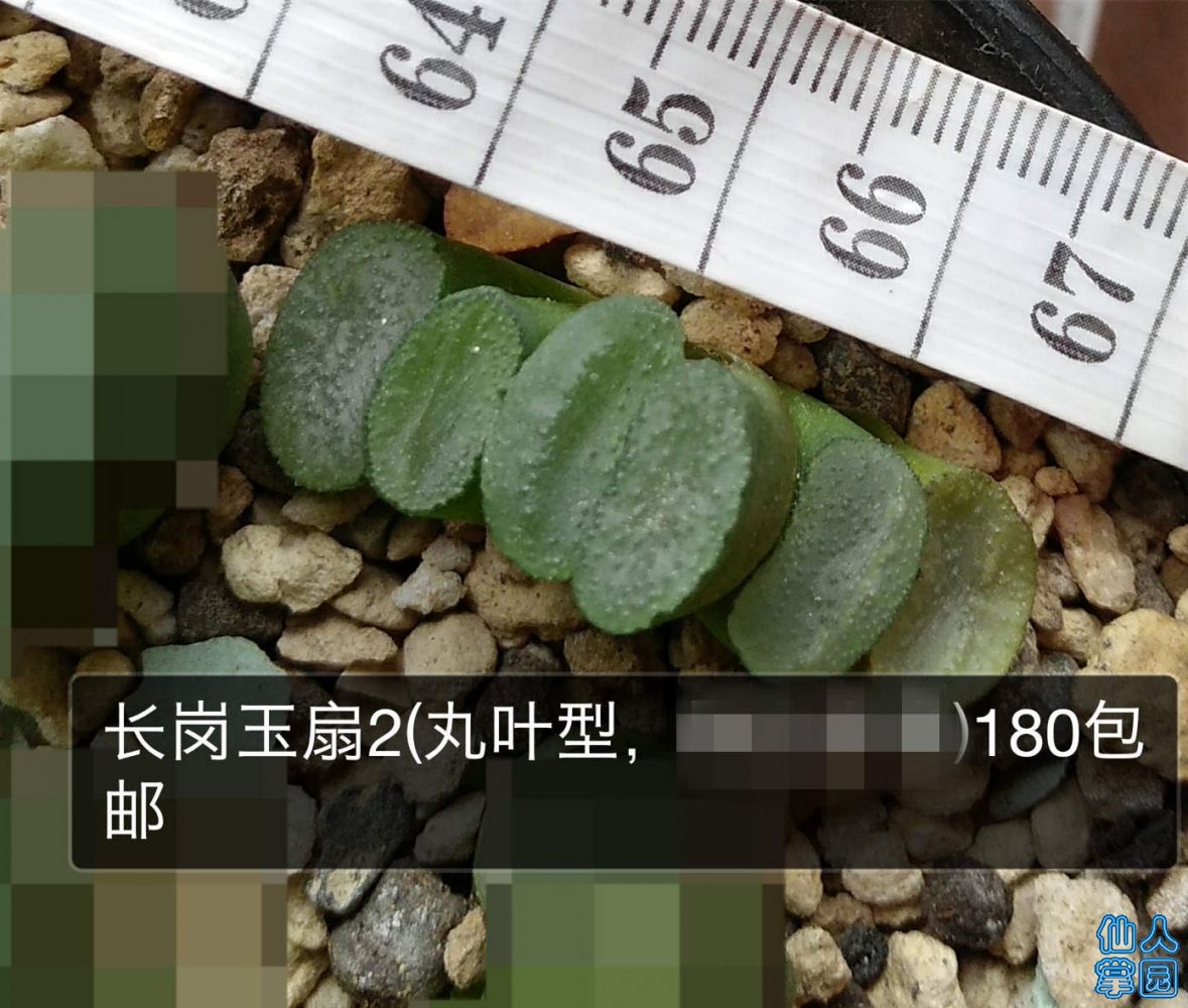 涂鸦_IMG_20180818_123614R_?_?.jpg