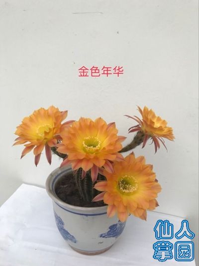 06.jpg