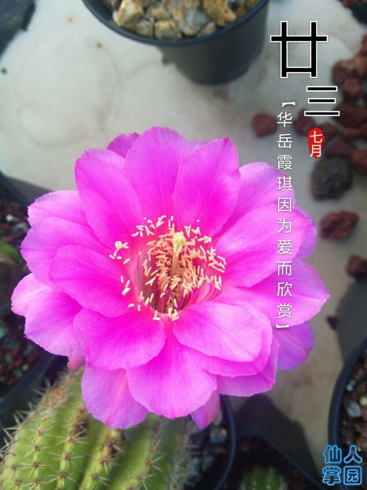 QQ图片20180902072132.jpg