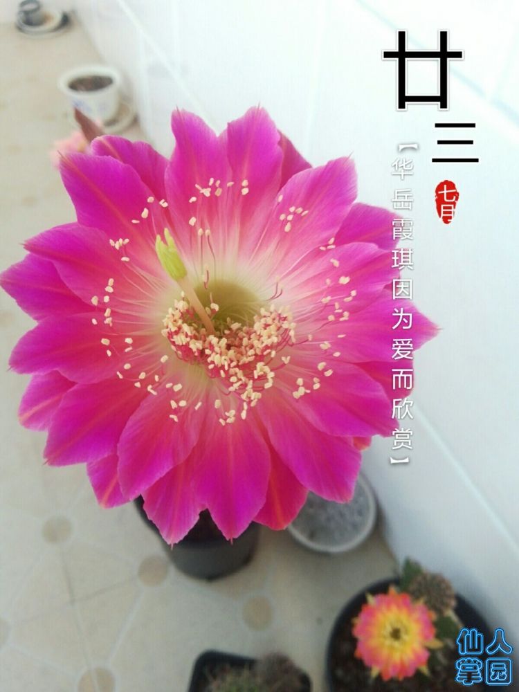 QQ图片20180902072124.jpg