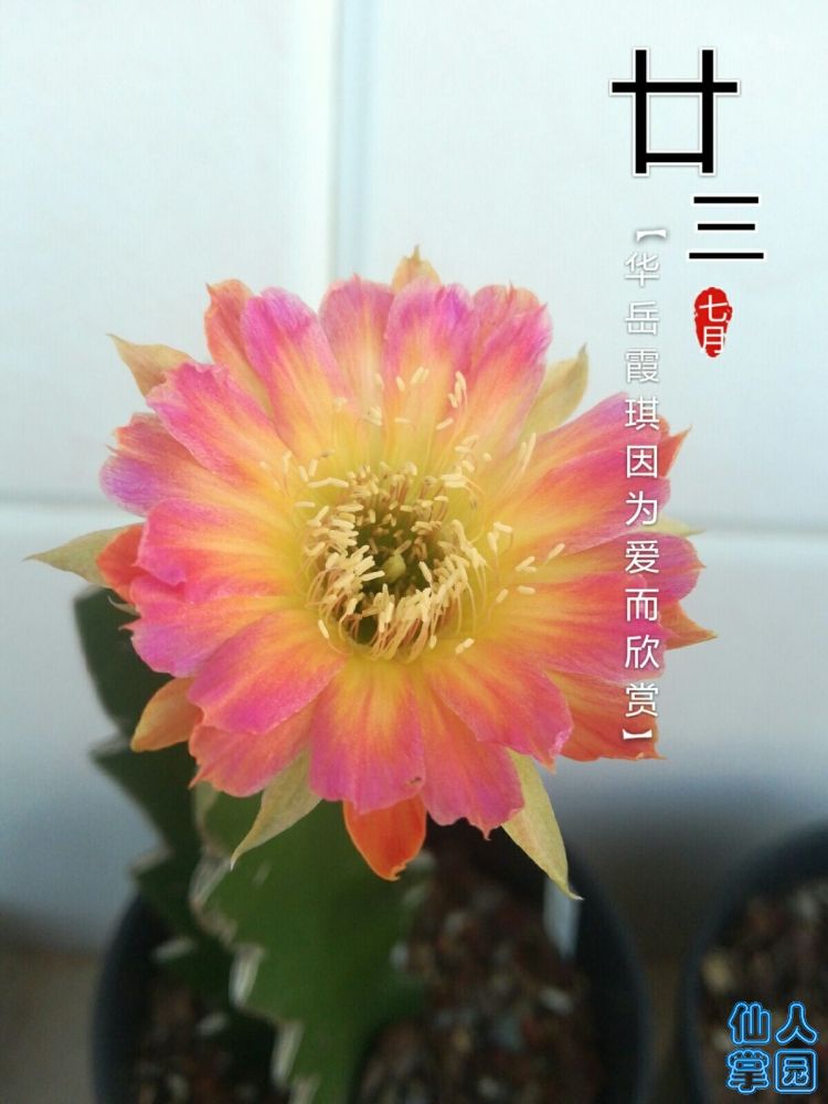 QQ图片20180902072120.jpg