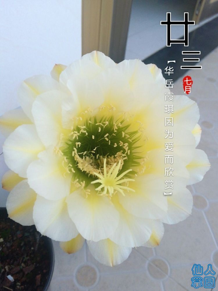 QQ图片20180902072111.jpg