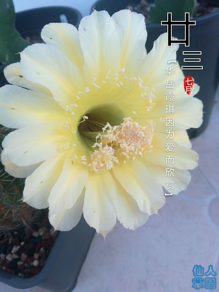 QQ图片20180902072116.jpg