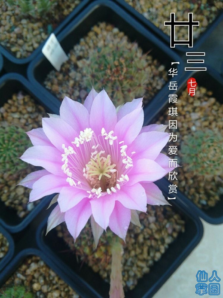 QQ图片20180902072145.jpg