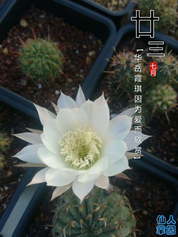 QQ图片20180902072136.jpg