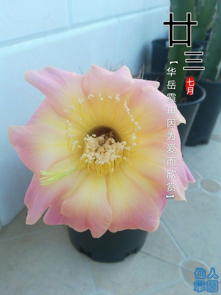 QQ图片20180902072128.jpg