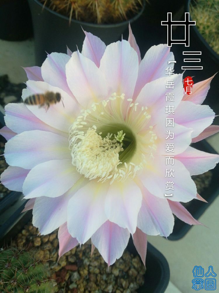 QQ图片20180902072140.jpg