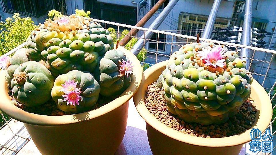 QQ图片20160309183227.jpg