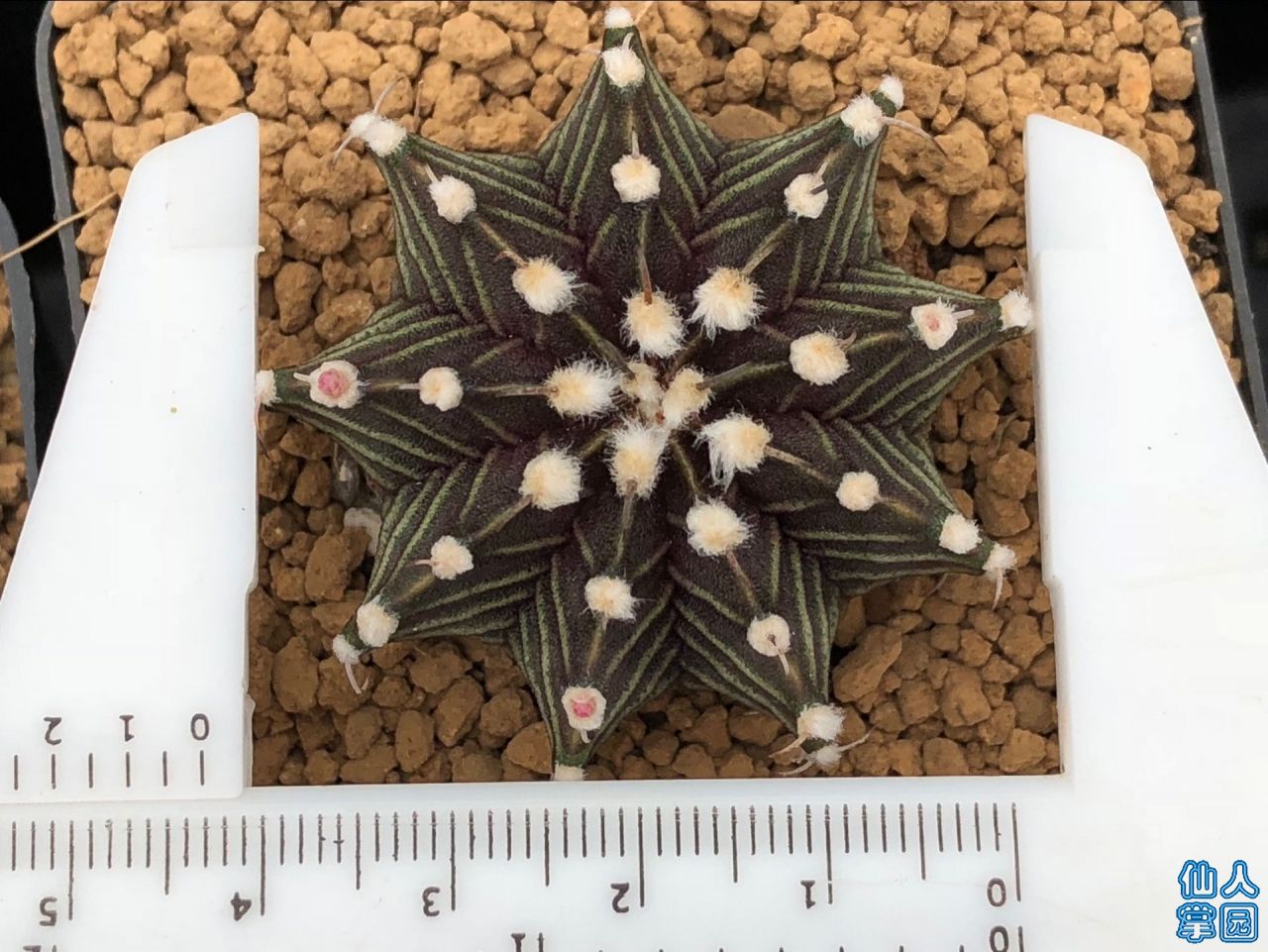 ʵ߹ĵ4.2-150