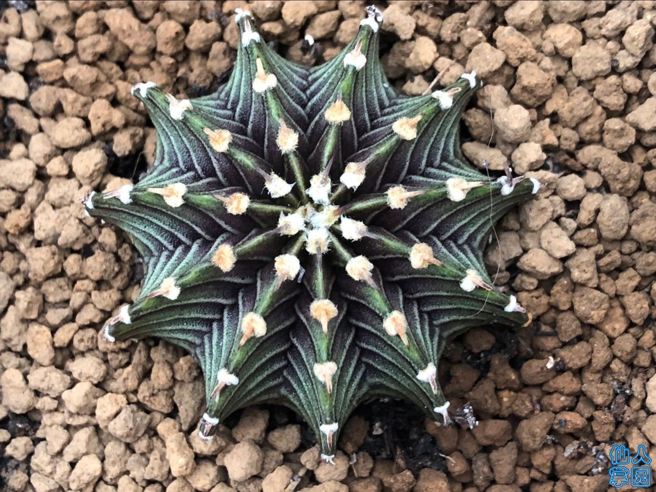 ʵ߹ĵ3.7-180