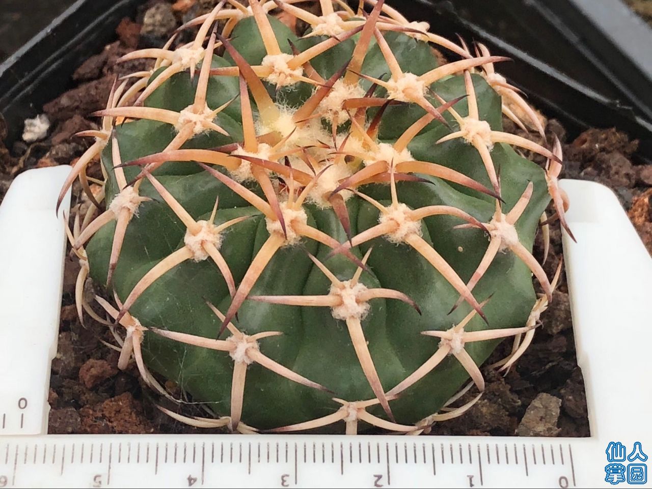 ʵǿԲ6-270