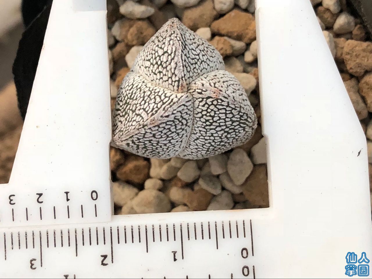 ʵǶڣ2.2-180