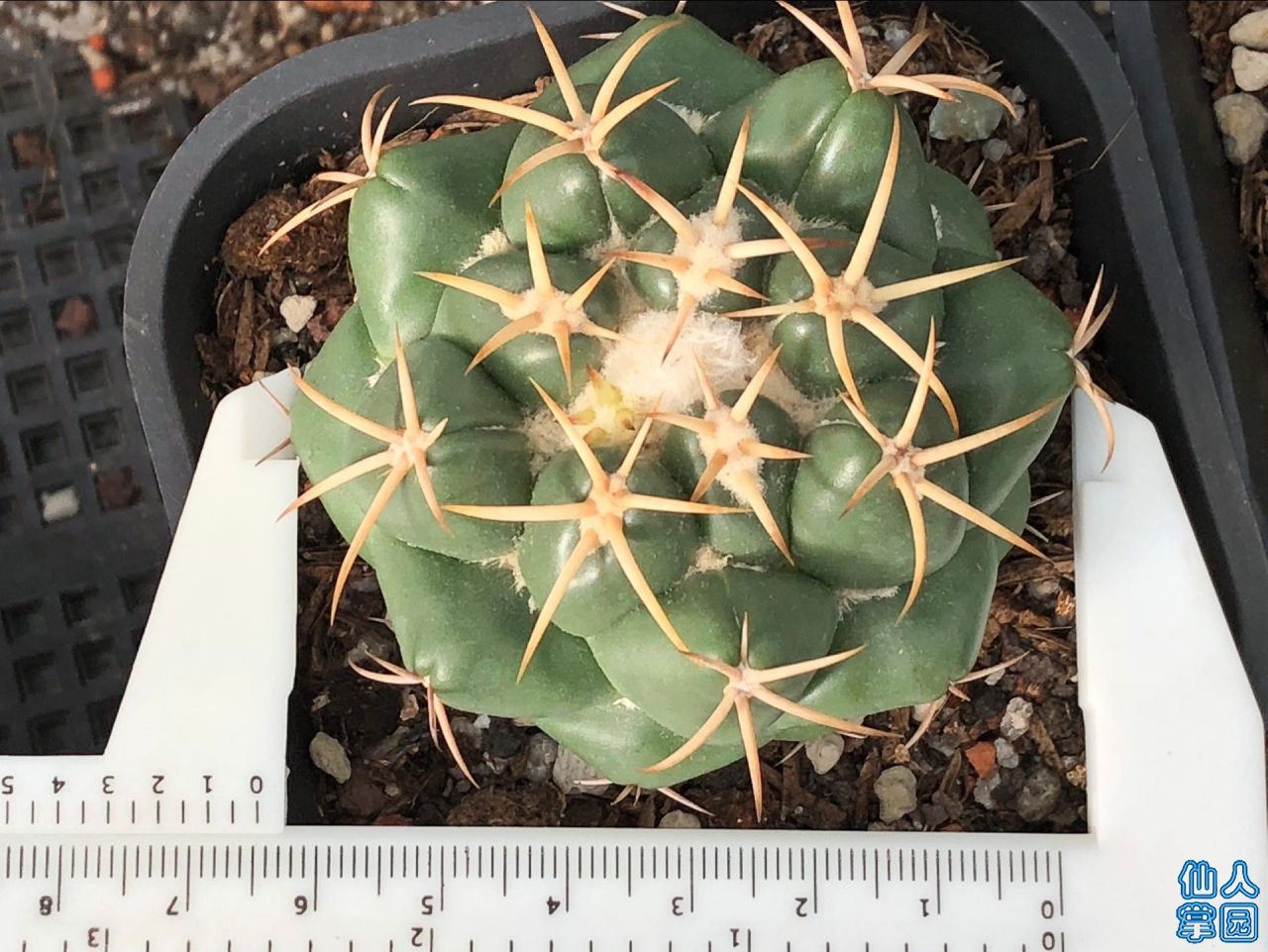 ʵ7.5-170