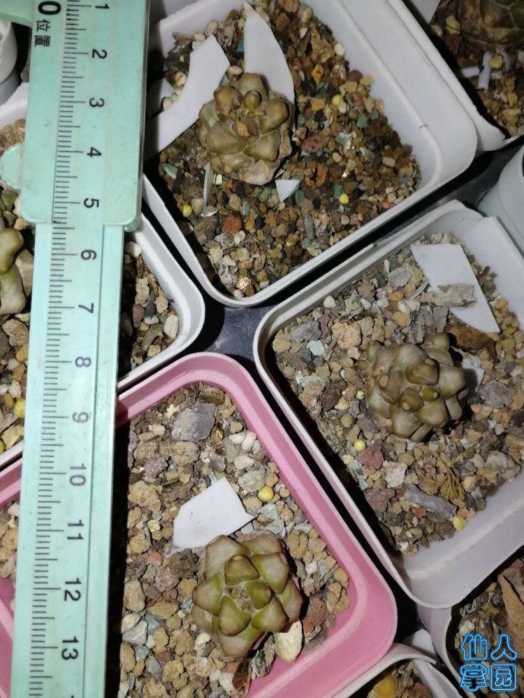?图片_20180912182504.jpg