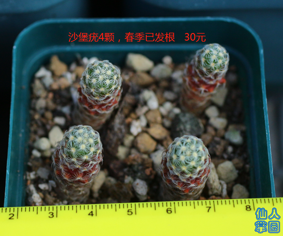 ?图片_20180915081522.png