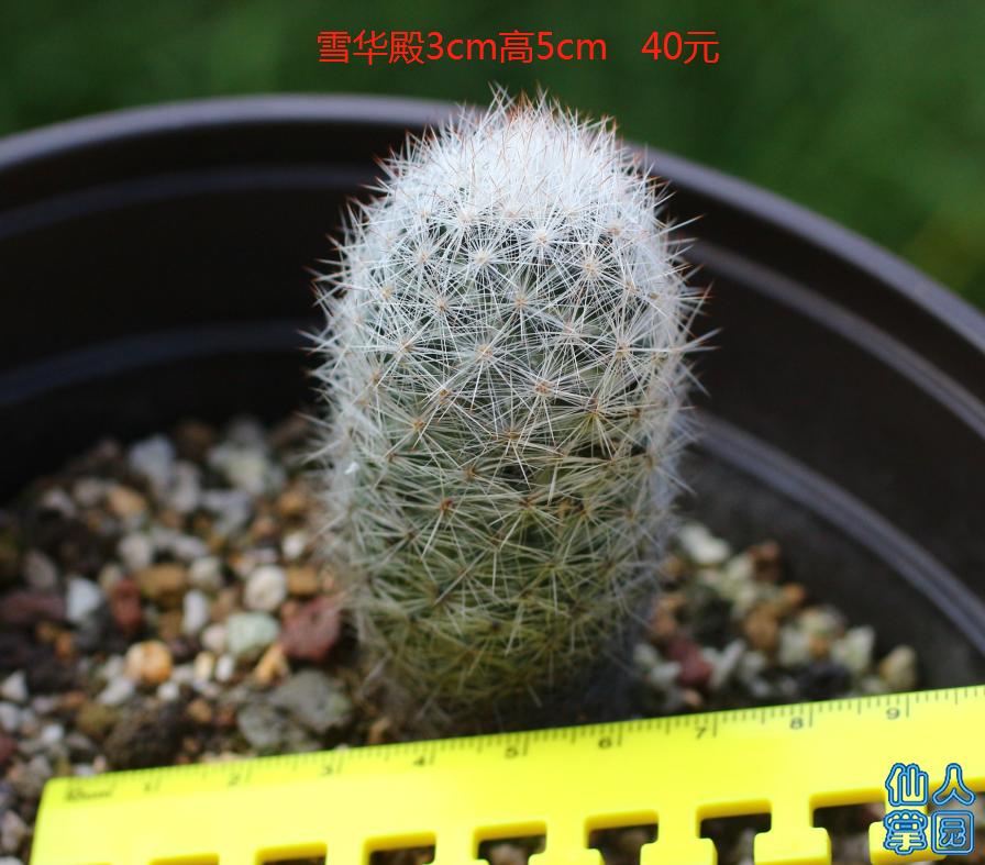 ?图片_20180915081510.png