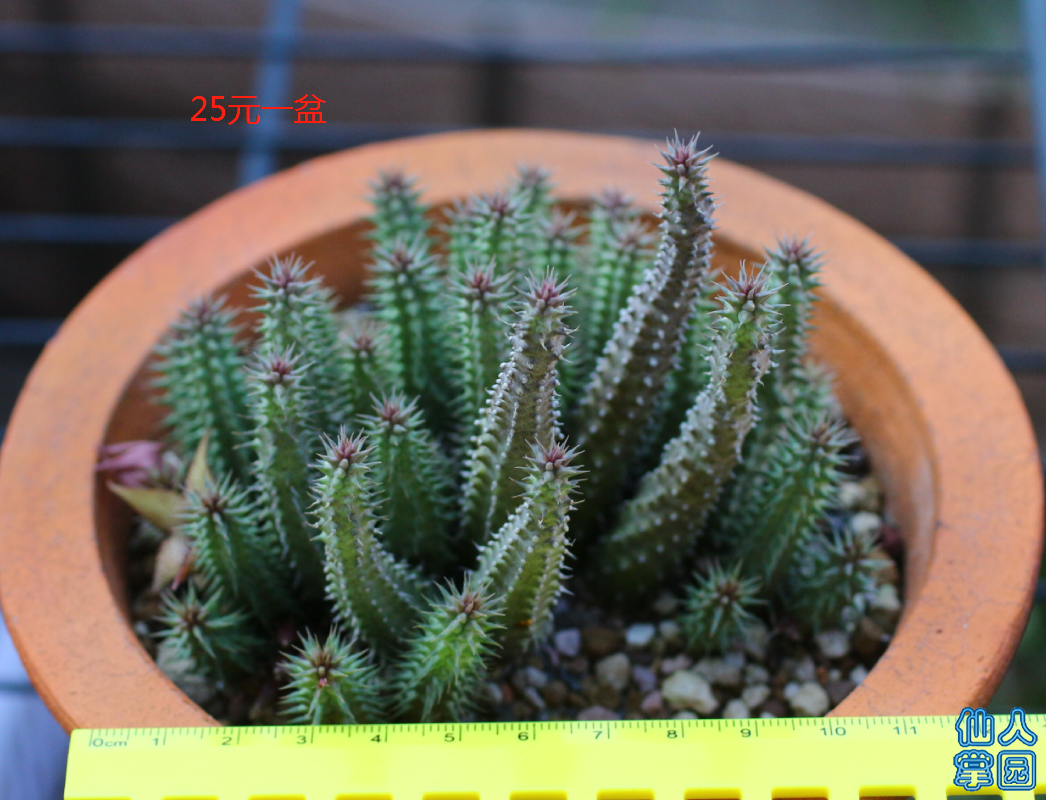 ?图片_20180915081527.png