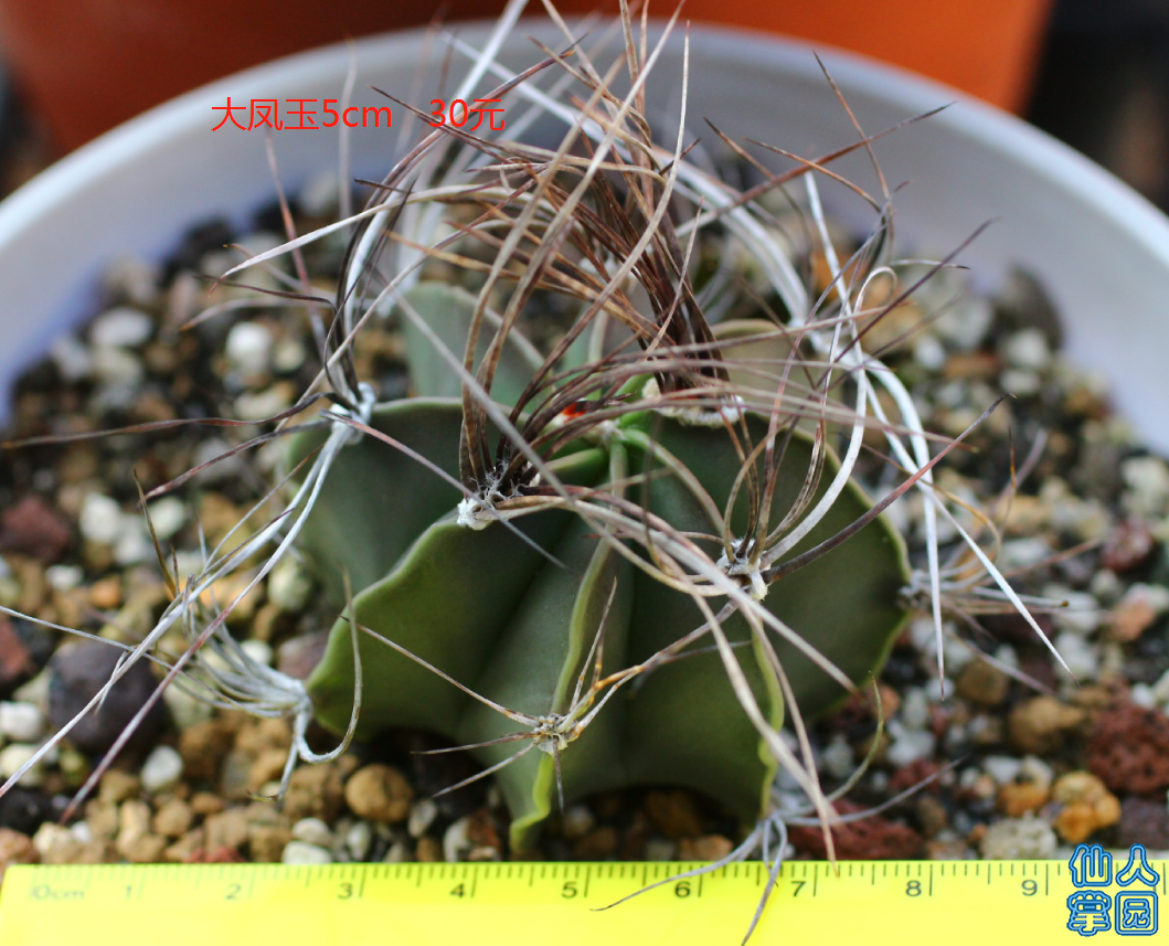 ?图片_20180915081531.png