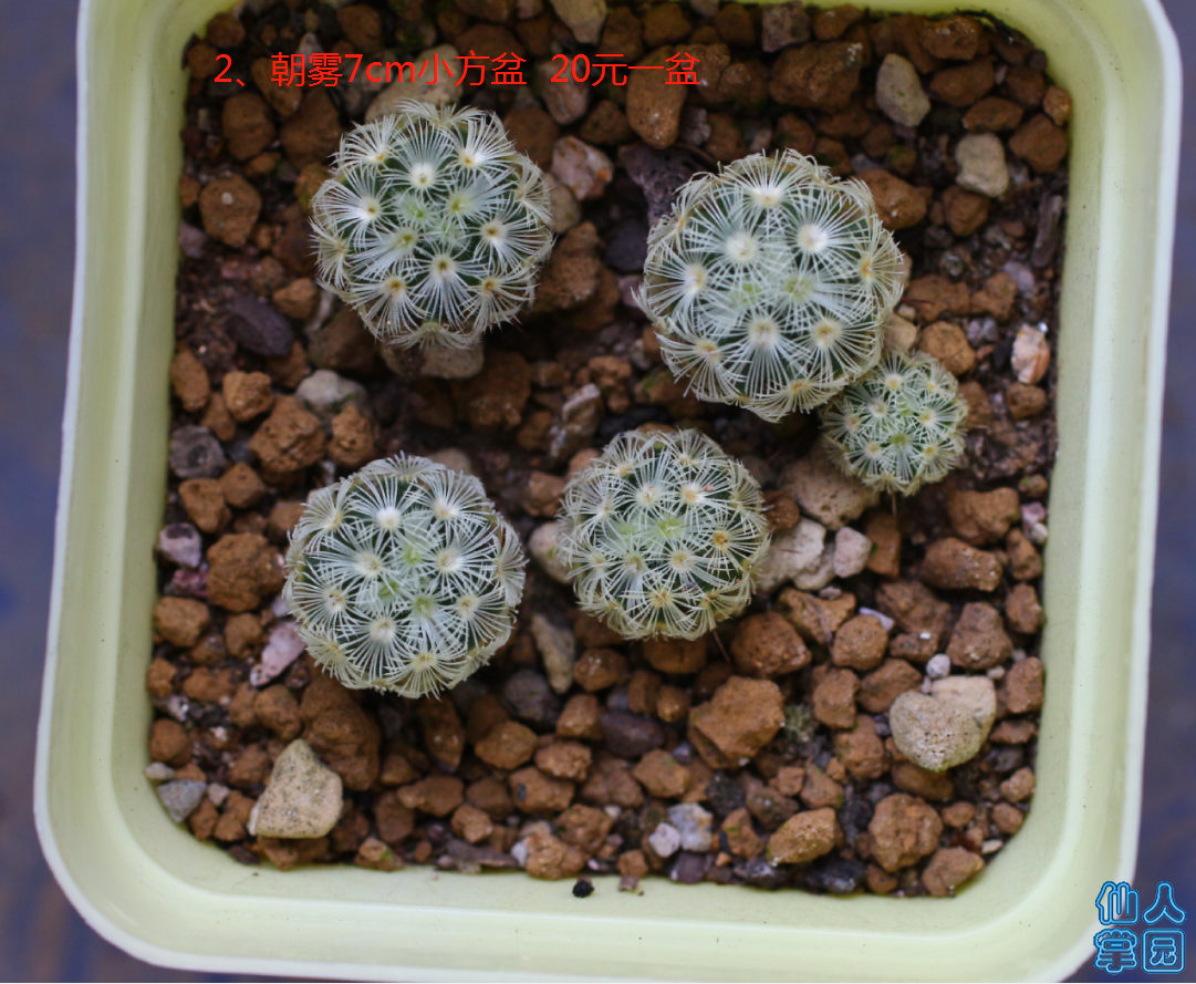 ?图片_20180915081549.png