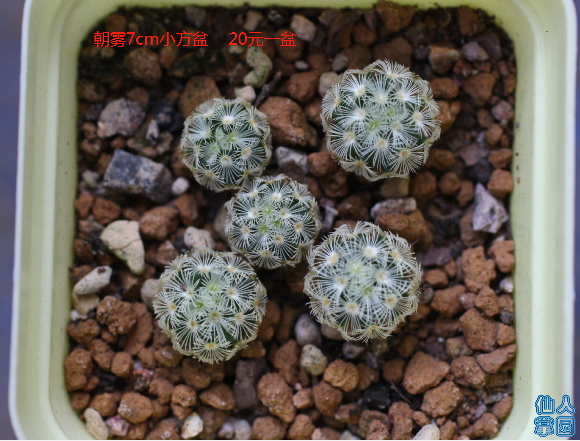?图片_20180915081546.png