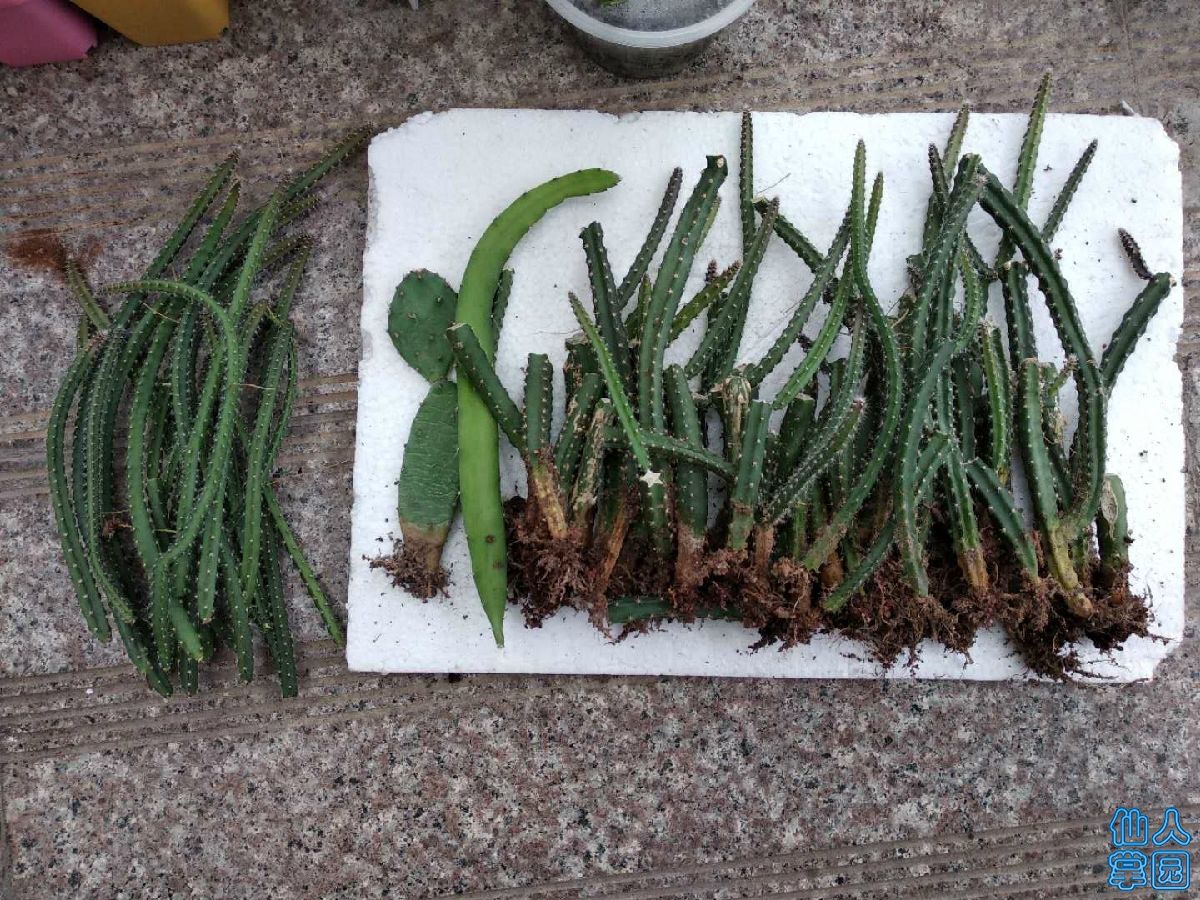 ?图片_20180918074235.jpg