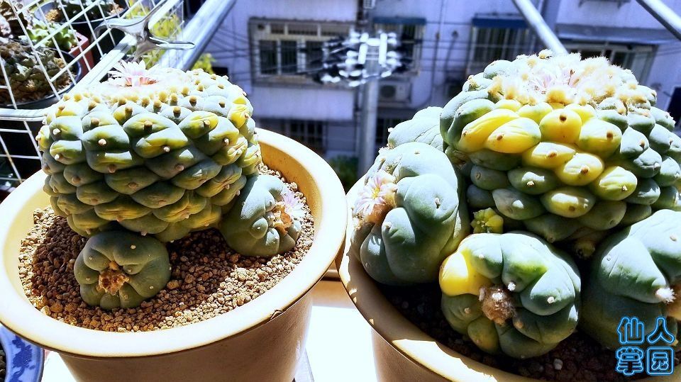 QQ图片20160229002504.jpg