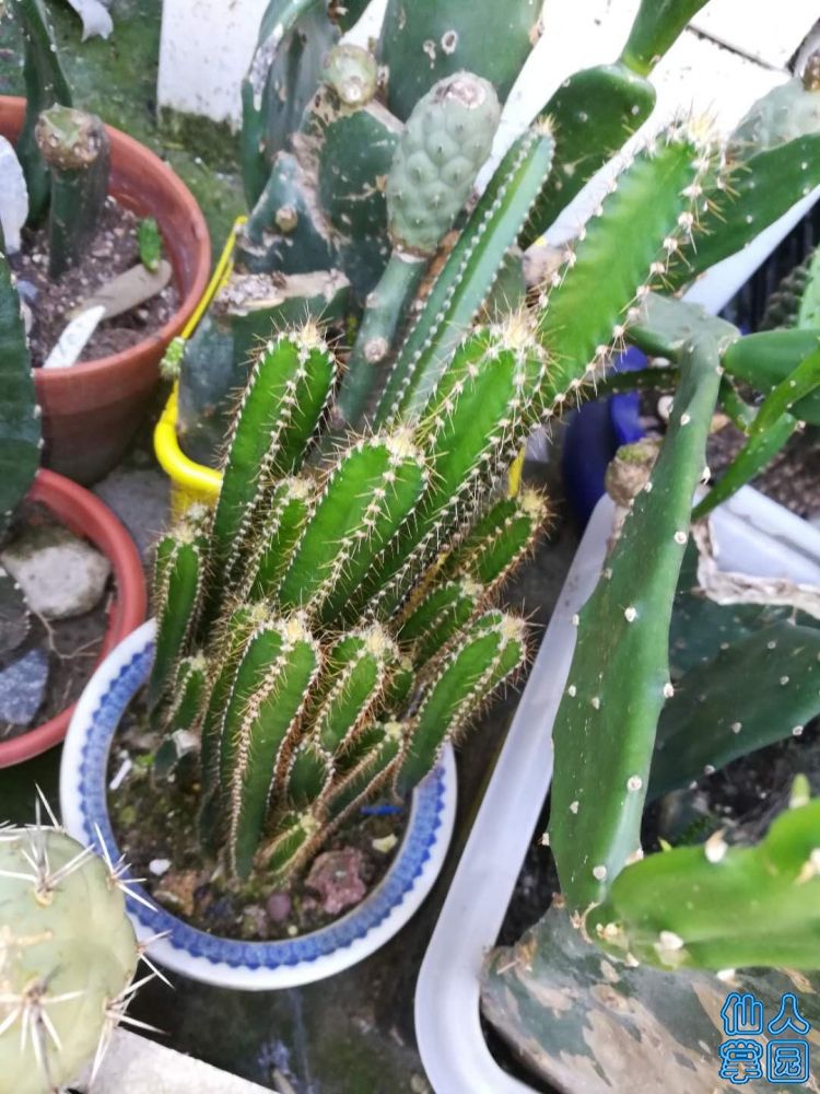 ?图片_20180908182053.jpg