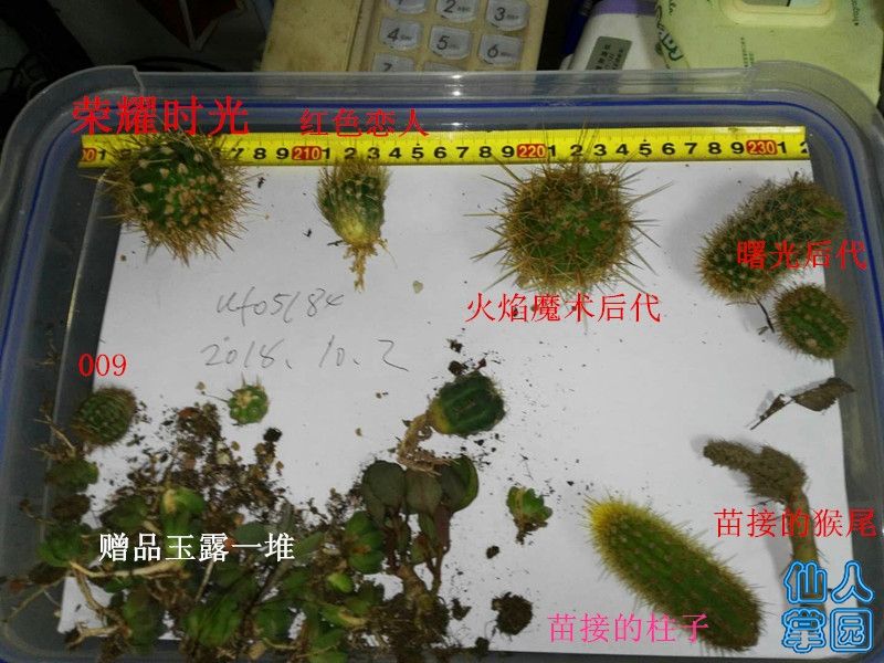?图片_20181002102659.jpg