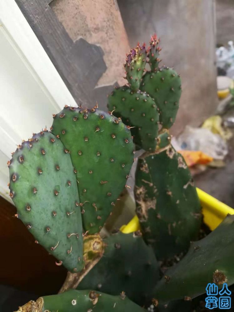 ?图片_20181004194134.jpg