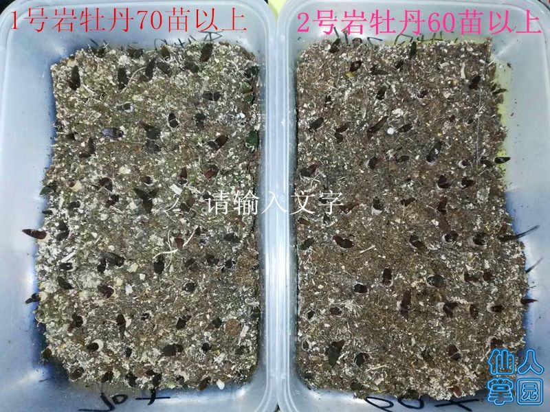 ?图片_20181004130525.jpg
