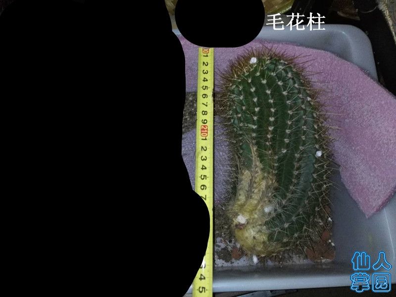 ?图片_201810031315271.jpg