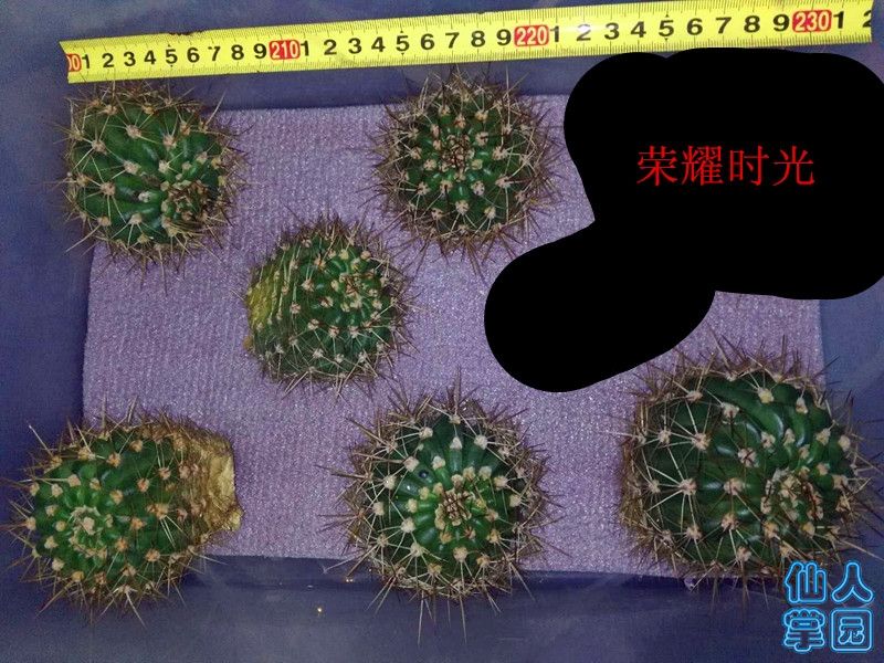 ?图片_201810031315274.jpg