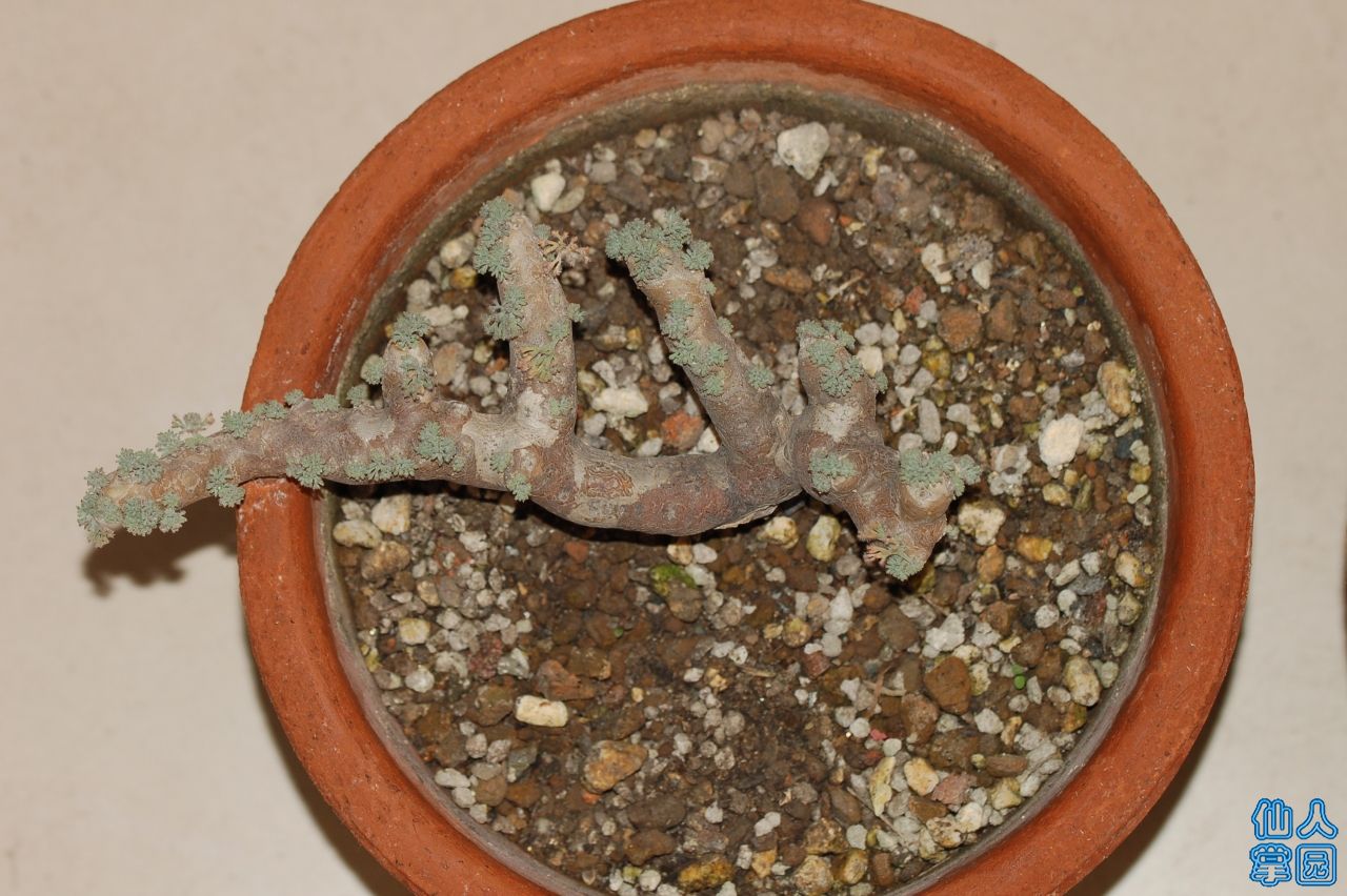 DSC_0001.JPG