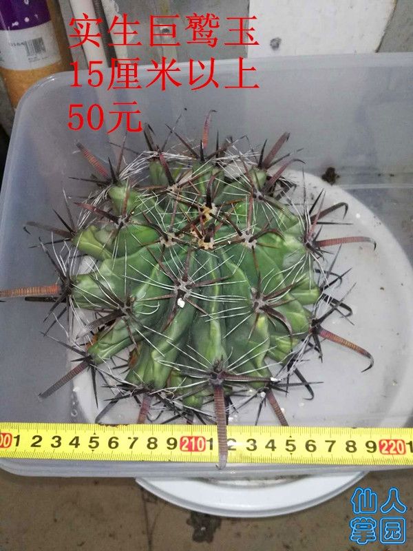 ?图片_20181022152929.jpg