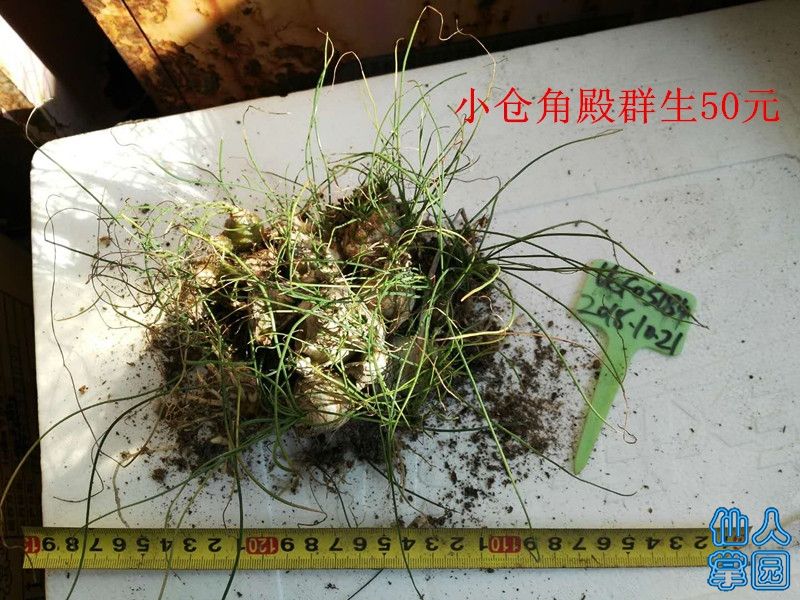 ?图片_201810210852514.jpg