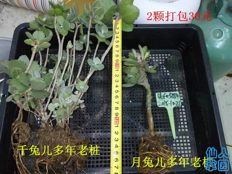 ?图片_201810210852516.jpg