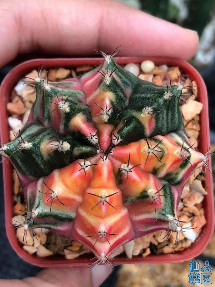 ΢ͼƬ_20181230210424.jpg