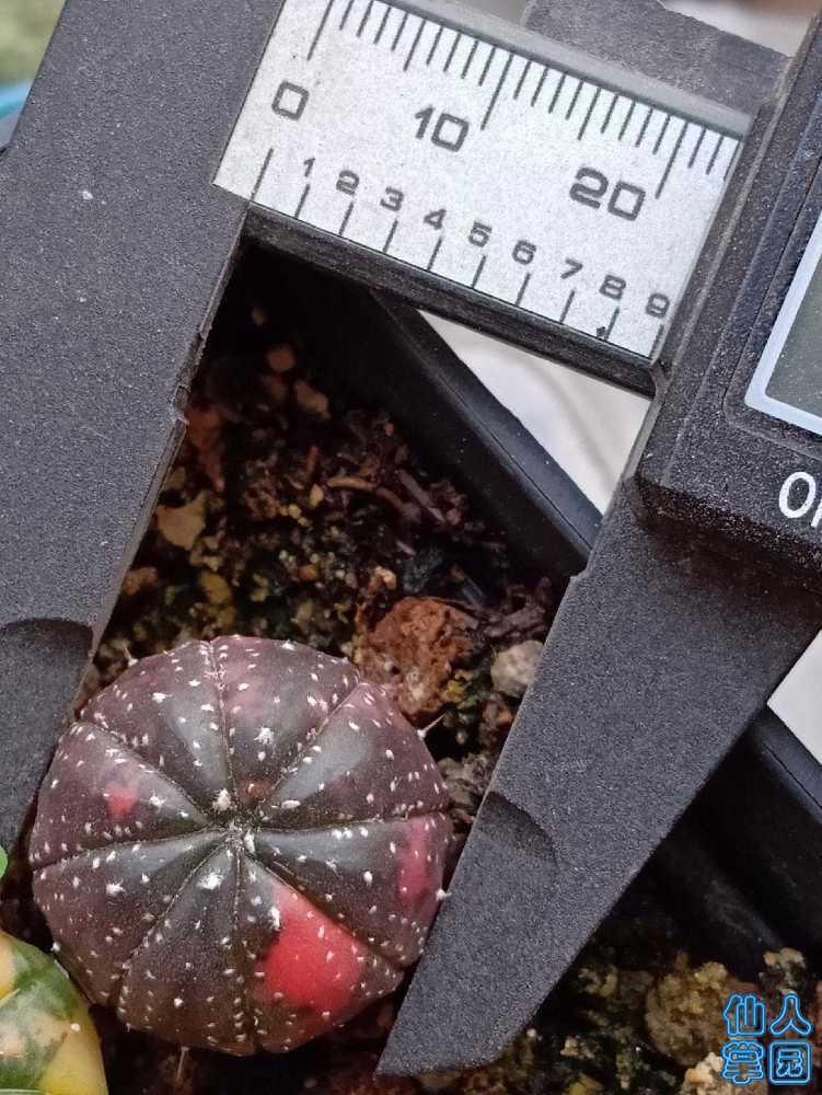 1550470019615.jpg