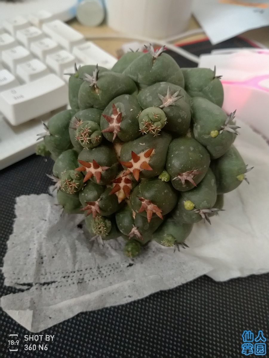 ̺߹ĵ