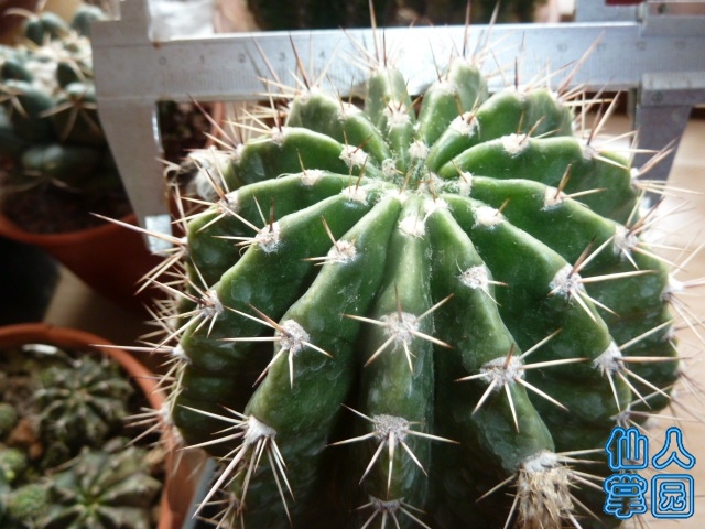 P1200068.JPG