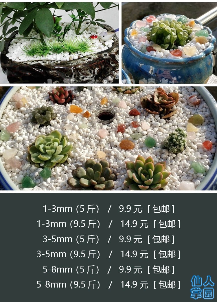 ʯ-2.jpg