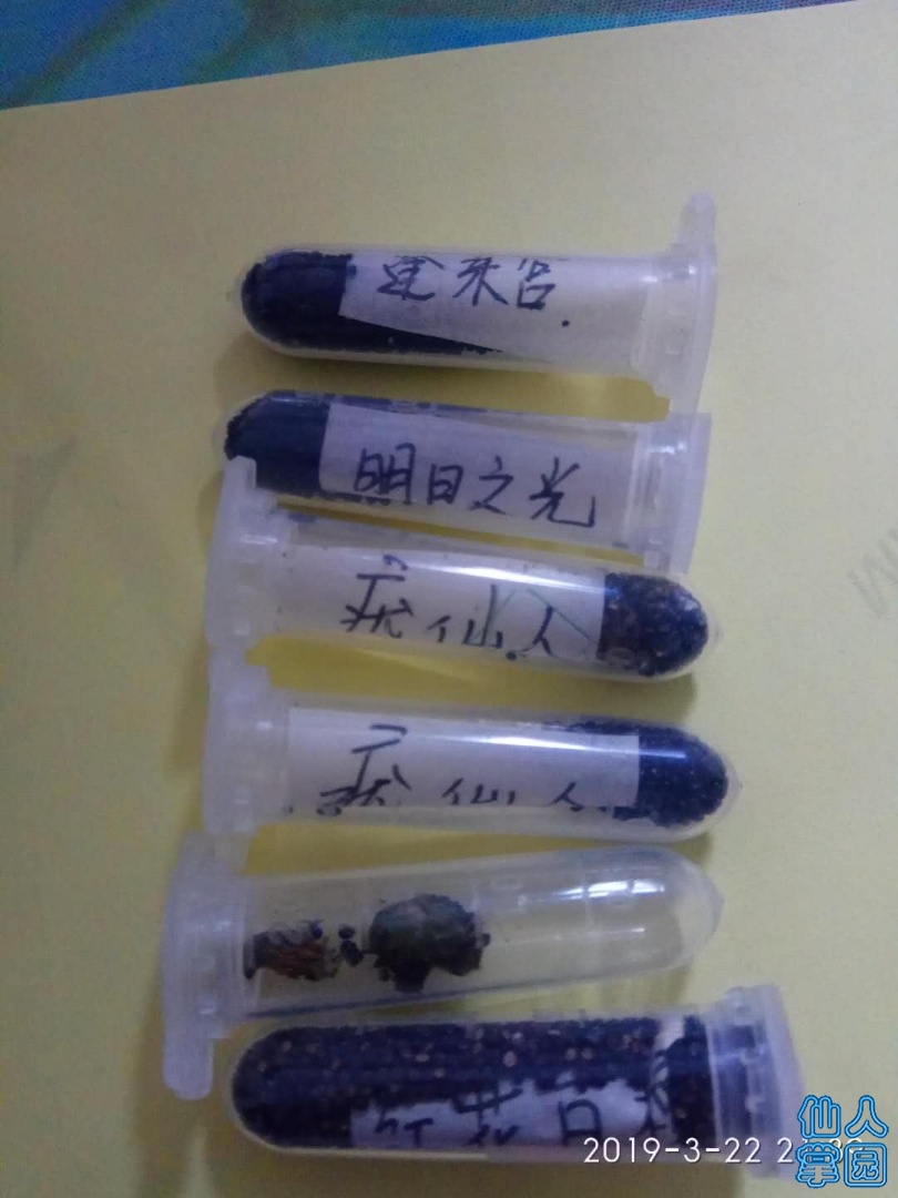   ˵.jpg