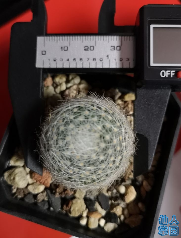 QQͼƬ20190426093754.jpg