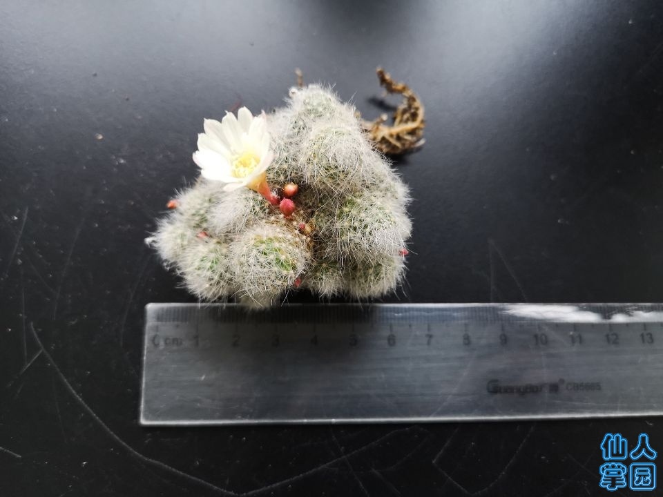QQͼƬ20190426094259.jpg