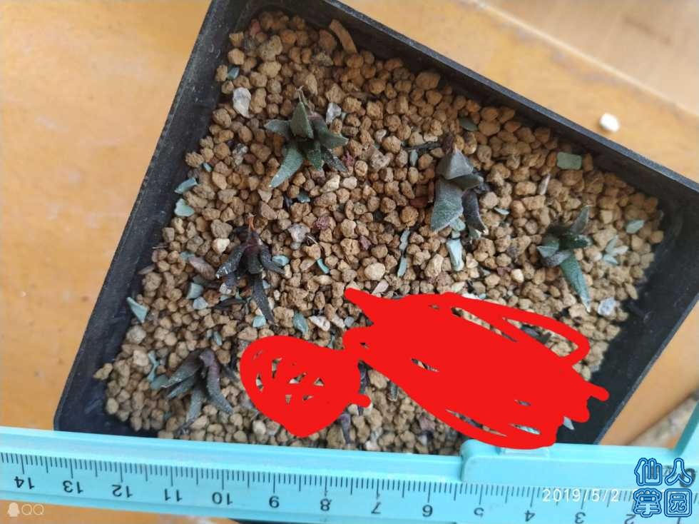 IMG20190504143106.jpg